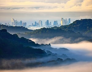 Panama City popular with expats view from rainforest of panama canal