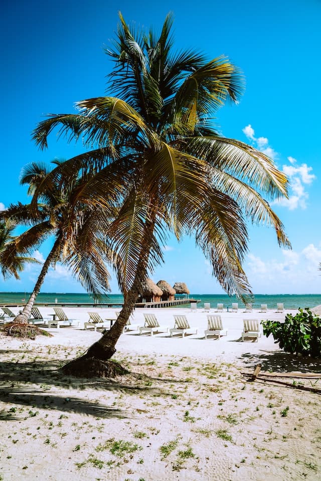 Lounge chairs along tropical beach, Secret Beach, San Pedro, Belize