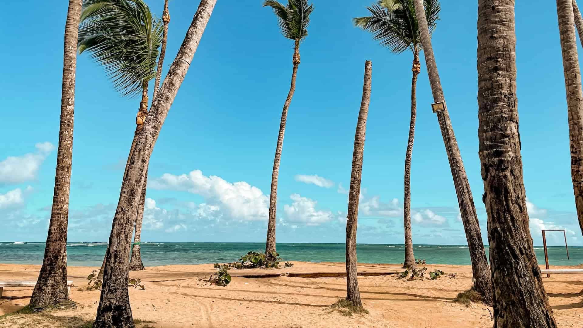 Hobby beach Playa Las Terrenas, Dominican Republic