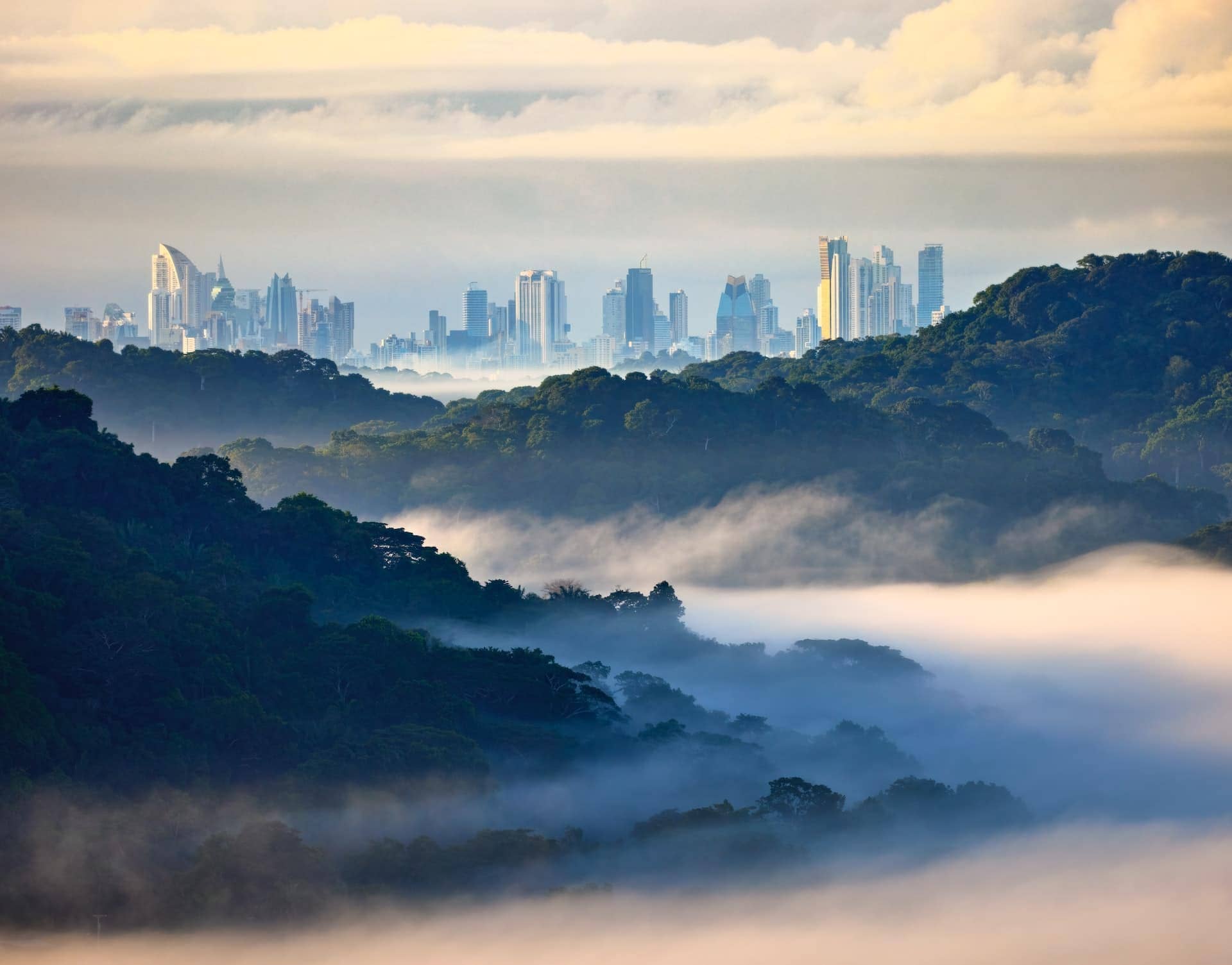 Panama City guide for expats view from the forest