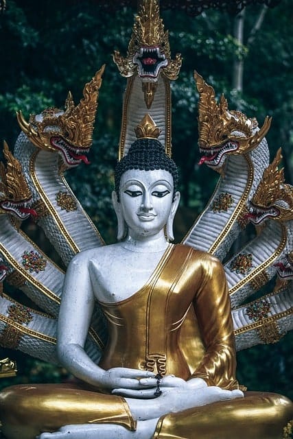 buddha snake heads