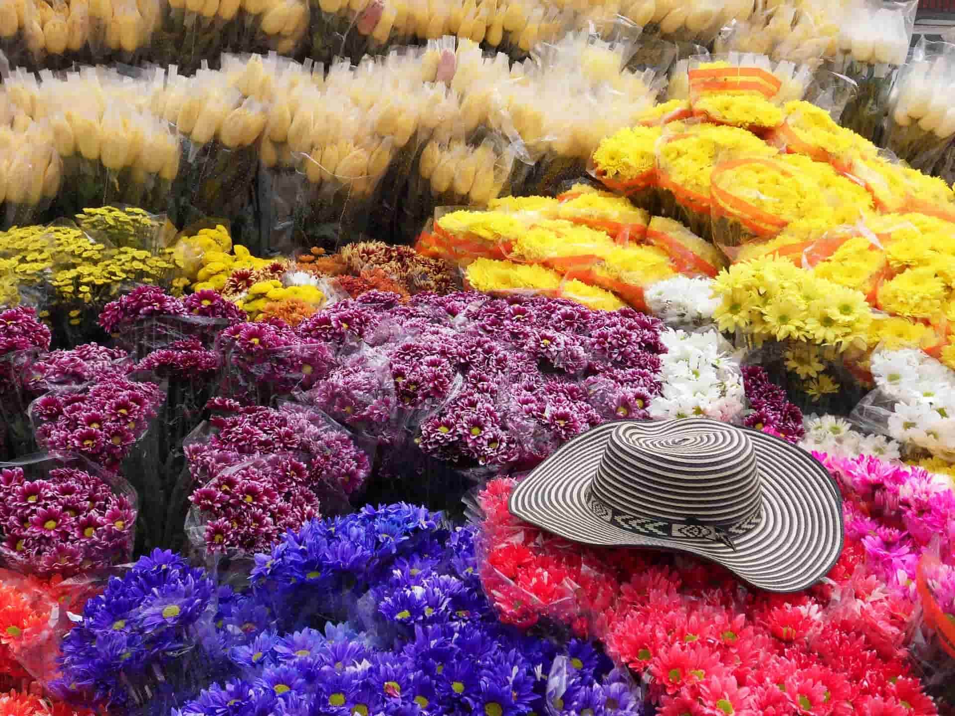 flower shop Bogota, Colombia