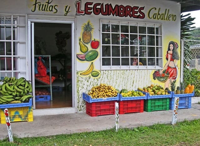 Best Places to Live in Panama: Groceries fruits and vegetables at local store in Panama City