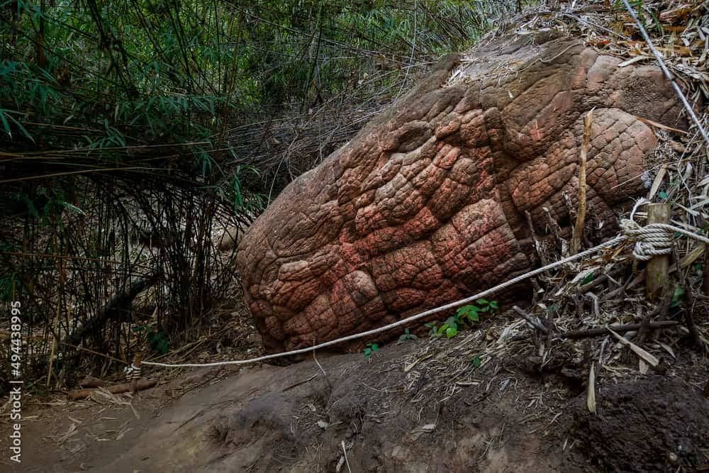 Giant Rock Snake head in Naka Cave, Thailand