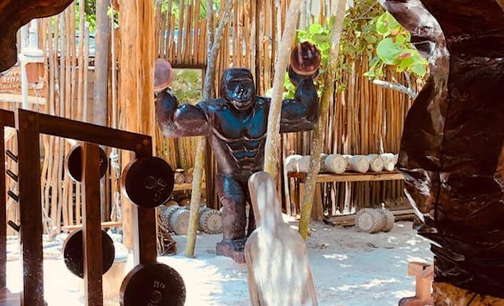 jungle gym tulum beach opening hours pricing