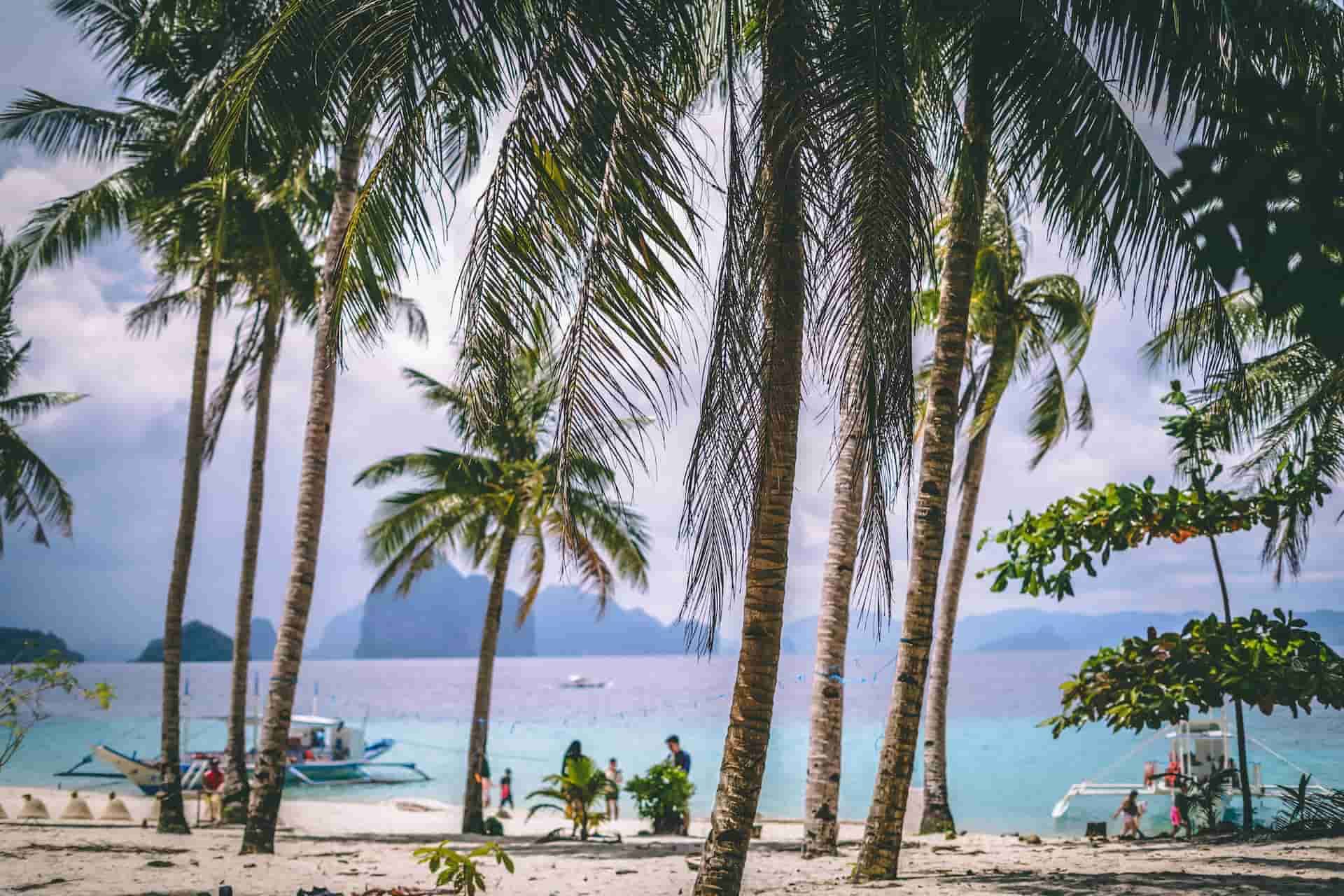 typhoon approaching palm trees beach Palawan, Philippines