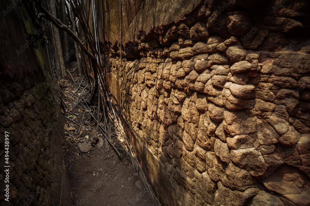 Snake scales inside Naka Cave, Thailand