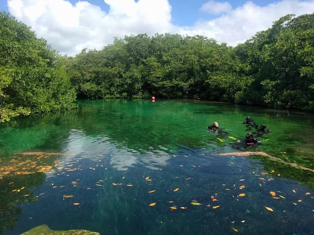  Best Cenotes in Tulum : Casa Cenote Tulum Mexico