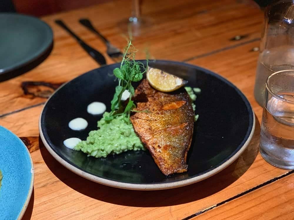 Best Tulum Restaurants : Cenzontle Restaurant Tulum