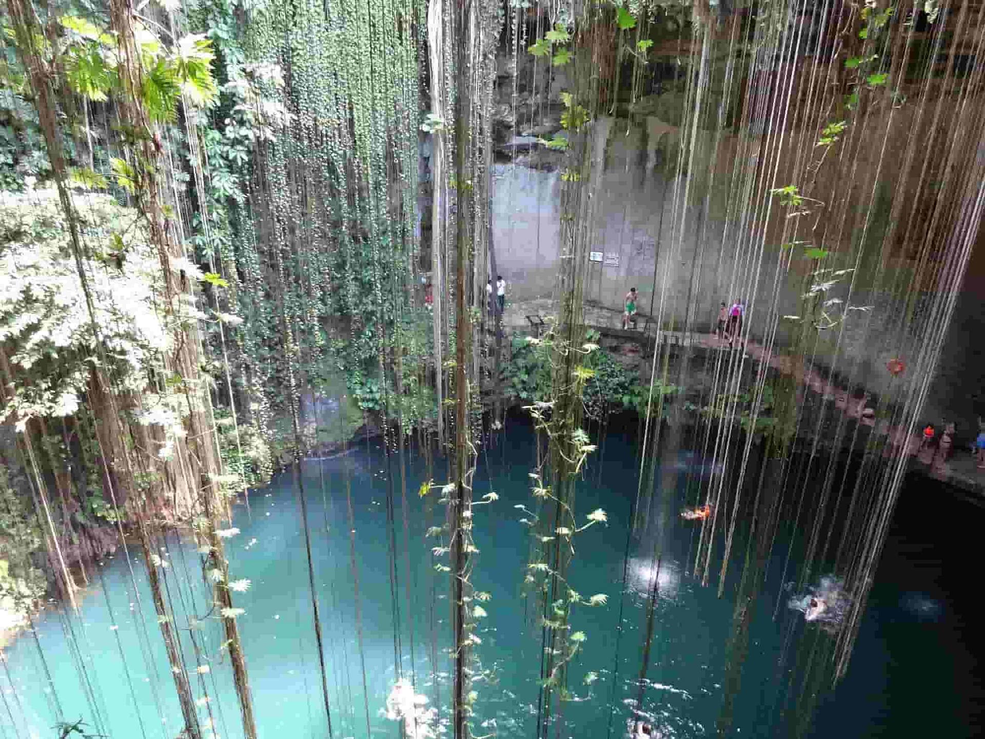 What is a Cenote? - How are Cenotes formed?